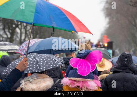 Rosenmontagszug in DŸsseldorf, Straßenkarneval, regnerisches Wetter, Stockfoto