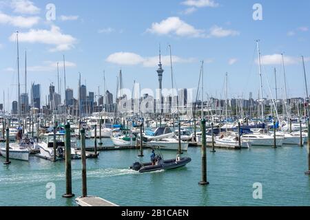 Blick auf das Stadtzentrum von Westhaven Marina, Westhaven, Auckland, Auckland Region, Neuseeland Stockfoto