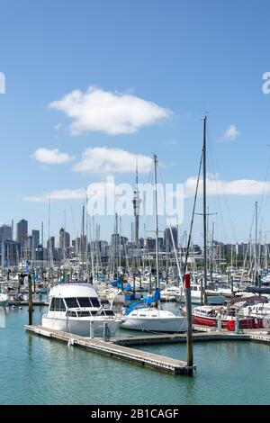 Blick auf das Stadtzentrum von Westhaven Marina, Westhaven, Auckland, Auckland Region, Neuseeland Stockfoto