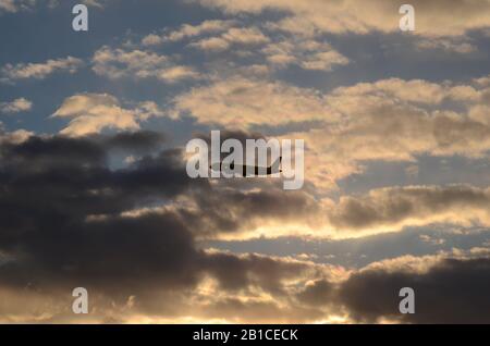 FLUG 419: Kommerzielle Flugzeuge fliegen vom Flughafen Newark in den Abendhimmel. Stockfoto