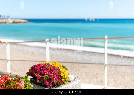 Selektive Konzentration auf eine Gruppe farbenfroher Blumen mit türkisfarbenem türkisfarbenem Mittelmeer der französischen Riviera, die im Erwähnen Frankreich verwischt sind. Stockfoto