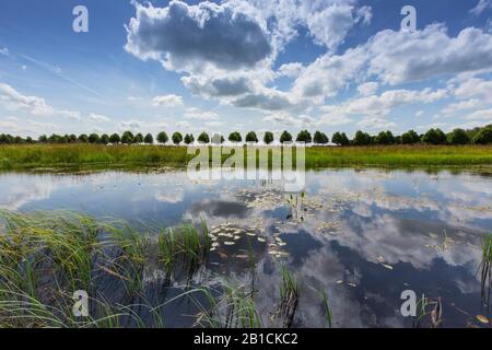 Wolken spiegeln sich in einem See, Delleboheide, Niederlande, Frisia, Delleboersterheide, Oldeberkoop Stockfoto