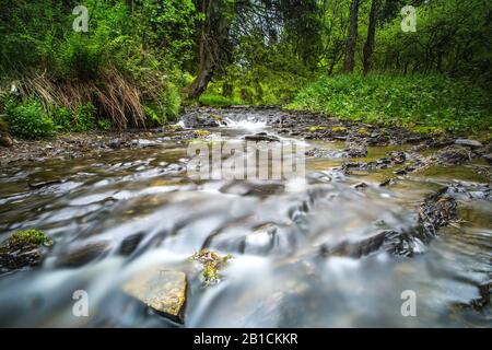 Waldbach in der Eifel, Deutschland, Nordrhein-Westfalen, Eifel, Monschau Stockfoto