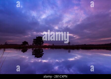 Naturschutzgebiet Dellebosterheide in Abendlicht, Niederlande, Frisia, Dellebosterheide, Oldeberkoop Stockfoto