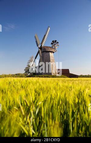 Windmühle Bierde, Deutschland, Nordrhein-Westfalen, Ostwestfalen, Petershagen Stockfoto