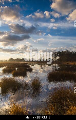 Wolken spiegeln sich in einem hohen Torf in Dellebosterheide, Niederlande, Frisia, Delleboersterheide, Oldeberkoop Stockfoto