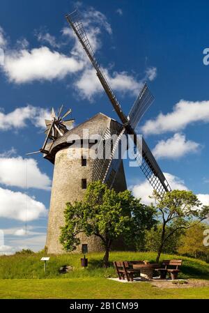 Windmühle Seelenfelder Koenigsmühle, Deutschland, Nordrhein-Westfalen, Ostwestfalen, Petershagen Stockfoto