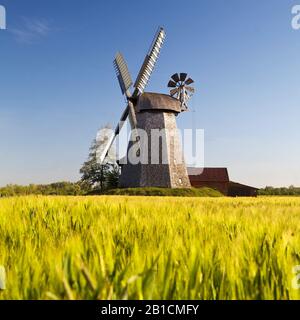 Windmühle Bierde, Deutschland, Nordrhein-Westfalen, Ostwestfalen, Petershagen Stockfoto