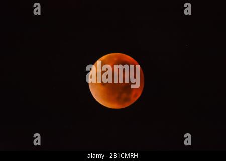 Blood Moon, Niederlande, Harderwijk Stockfoto