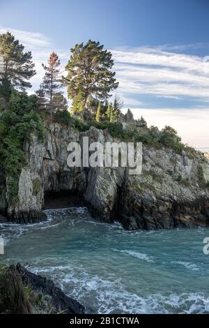 Blick in die Monkey Bay, felsige Bucht mit Bäumen mit kristallklarem blauem Wasser. In Der Nähe Von Blenheim, Neuseeland Stockfoto