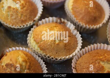 Einige frisch gebackene Muffins in Silikonformen, die verhindern, dass sich der Cupcake im Backofen verformt Stockfoto