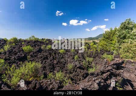 Vulkan Paricutin und Lava Field, Bundesstaat Michoacan, Mexiko, Mittelamerika Stockfoto