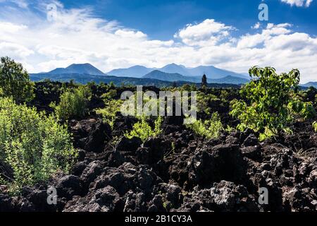 Vulkan Paricutin und Lava Field, Bundesstaat Michoacan, Mexiko, Mittelamerika Stockfoto