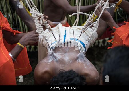 Devotee, der von Hook-Piercings als ritueller Akt der Hingabe hängt, Garudan Theokkam, während Thaipooyam (Thaipoosam) in Kedakulam, Kerala, Indien. Stockfoto