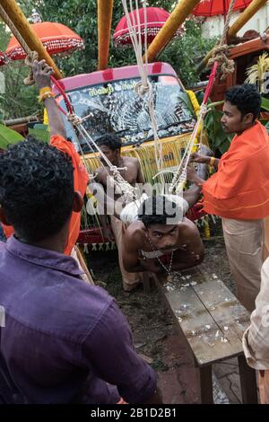 Devotee, der von Hook-Piercings als ritueller Akt der Hingabe hängt, Garudan Theokkam, während Thaipooyam (Thaipoosam) in Kedakulam, Kerala, Indien. Stockfoto