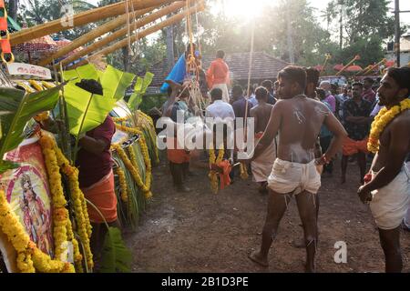 Devotee, der von Hook-Piercings als ritueller Akt der Hingabe hängt, Garudan Theokkam, während Thaipooyam (Thaipoosam) in Kedakulam, Kerala, Indien. Stockfoto