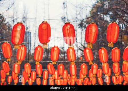 Rote chinesische Laternen hängen für das chinesische Neujahr in einem Park Stockfoto