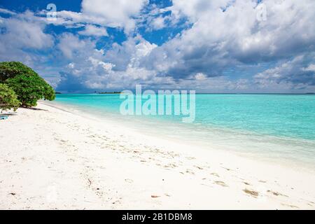 Maldive Sand Beach und Blick auf die grünen Palmen Stockfoto