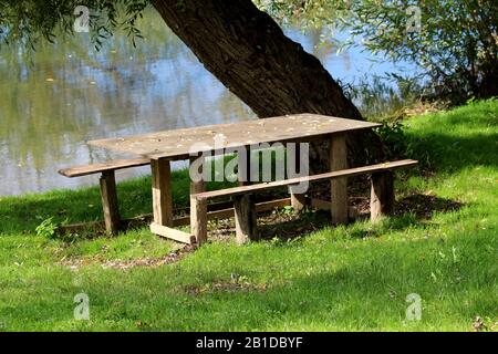 Hausgemachter improvisierter Holztisch mit zwei Bänken aus schmalen Holztafeln und Holzstämmen am örtlichen Flussufer neben dickem altem Baum Stockfoto