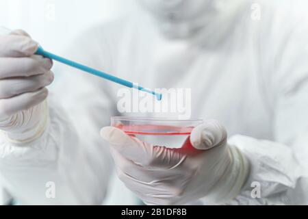 Kompetenter Forscher, der im Labor Blut-Know-how macht Stockfoto