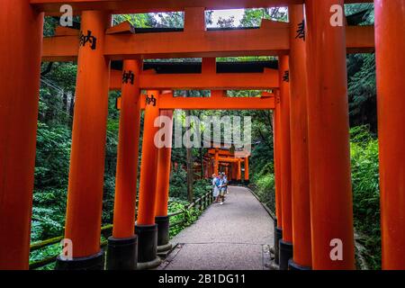 Blick auf Senbon Torii, einen malerischen Pfad im Wald, der von Tausenden von Torii-Toren am Fushimi Inari-Schrein, Kyoto, Japan bedeckt ist Stockfoto