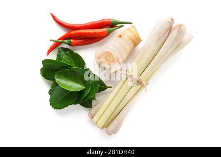 Set aus Hauptzutaten der Tom Yum Suppe - Zitronengras, Chilipern, Galanga-Wurzel oder Galangal und Kaffir-Limettenblätter. Isoliert auf weißem Hintergrund. Stockfoto