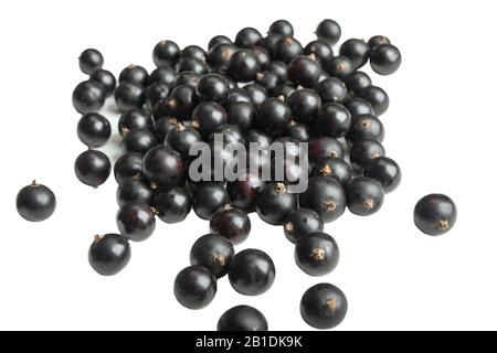 Isolierte Beeren. Schwarze Korinten auf weißem Hintergrund. Stockfoto