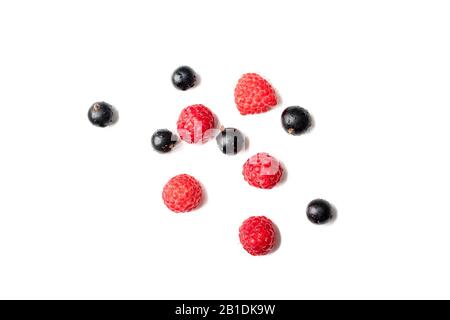 Auswahl an Beeren. Süße Himbeeren und schwarze Korinten beeren auf weißem Grund isioliert. Stockfoto