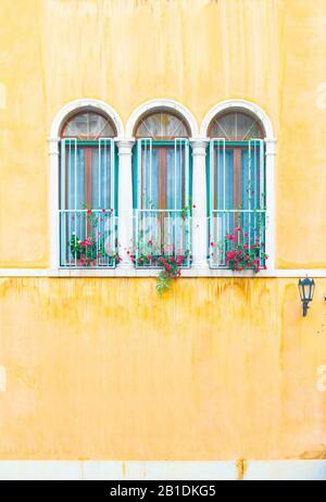 Drei alte Bogenfenster mit bunten roten Blumen auf Schweller, die bei Wetter aufgestellt waren, trugen gelb bemalte Stuckwände in Italien Stockfoto