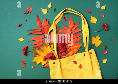 Herbst-Flachlaienzusammensetzung. Trockener Ahorn im Herbst in gelber Einkaufstasche auf grünem Hintergrund. Draufsicht. Kopierbereich. Flaches Lay Stockfoto