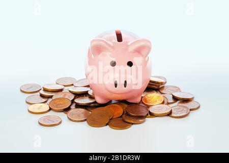 Pinkfarbene Schweinebank und auf Weiß isolierte Münzen Stockfoto