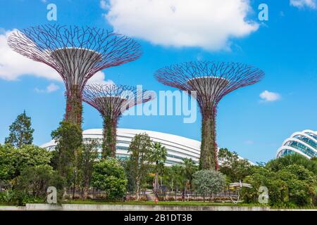 Blick auf die hoch aufragenden vertikalen Gärten und Superbäume in den Gärten an der Bucht gegen den gekühlten Wintergarten, Singapur, Asien Stockfoto