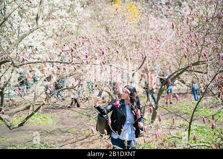 Kiew/Ukraine - 04.20.2019: Im Frühling entspannen sich Menschen im blühenden magnoliengarten in der Stadt, nehmen ein selfie vor dem Hintergrund von magnolienbäumen und Stockfoto