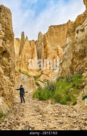 Wanderer in den Omarama Clay Cliffs, Felsformationen aus Silt und Kies, in der Nähe der Stadt Omarama, Canterbury Region, South Island, Neuseeland Stockfoto