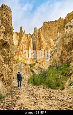 Wanderer in den Omarama Clay Cliffs, Felsformationen aus Silt und Kies, in der Nähe der Stadt Omarama, Canterbury Region, South Island, Neuseeland Stockfoto