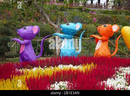 Kaohsiung, TAIWAN - 25. JANUAR 2020: Zur Feier des chinesischen Jahres des buddhistischen Klosters Rat Fo Guang Shan haben wir niedliche Laternen in der Form aufgestellt Stockfoto