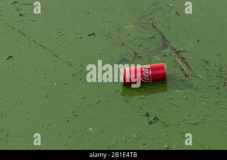 Verschmutztes, eutrophisches Wasser im Kastoria-See, Griechenland, mit Müll. Stockfoto