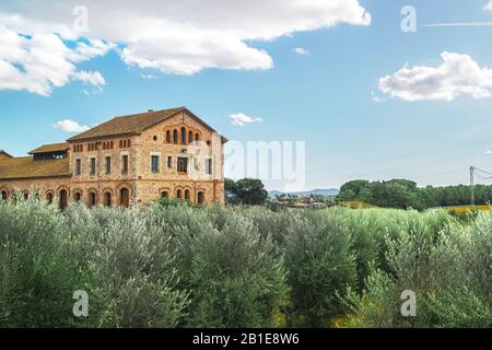 Bauernhaus unter Olivenbäumen in Caldes de Montbui, in der Nähe von Barcelona. Ländlicher Landschaftshintergrund mit leerem Kopierbereich für Text des Editors. Stockfoto