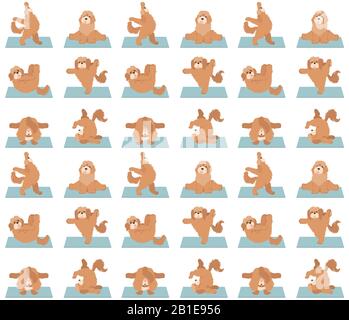 Yoga-Hunde stellen und trainieren ein nahtloses Muster. Cockapoo Clipart. Vektorgrafiken Stock Vektor