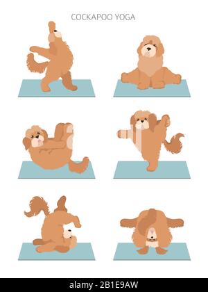 Yoga-Hunde posieren und trainieren das Plakatdesign. Cockapoo Clipart. Vektorgrafiken Stock Vektor