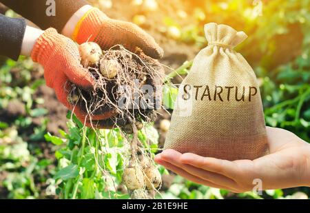 Startkonzept Landwirtschaft. Steigerung der Produktivität und Effizienz der Ernte. Entwicklung von Innovationen. Investitionen in die Landwirtschaft. Intelligente moderne Technologie in Stockfoto