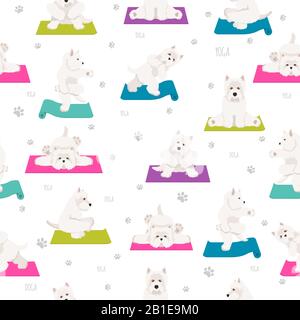 Yoga-Hunde stellen und trainieren ein nahtloses Muster. Clipart von West Highland White Terrier. Vektorgrafiken Stock Vektor