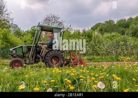 Gärtner am Traktor, Deutschland, Schleswig-Holstein Stockfoto