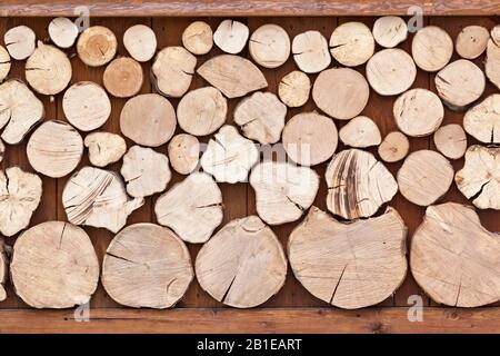 Wandabdeckung aus Holzbaumscheiben in verschiedenen Größen, Europa Stockfoto