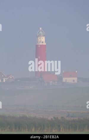 Leuchtturm Eierland auf der Insel Texel in Morgennebel, Niederlande, Texel Stockfoto