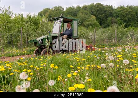 Gärtner am Traktor, Deutschland, Schleswig-Holstein Stockfoto