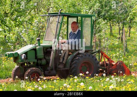 Gärtner am Traktor, Deutschland, Schleswig-Holstein Stockfoto