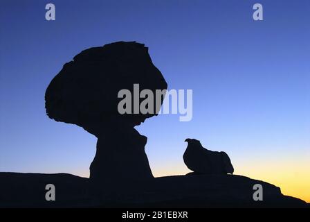 Felsformationen der Weißen Wüste, Ägypten, Nationalpark Weiße Wüste Stockfoto