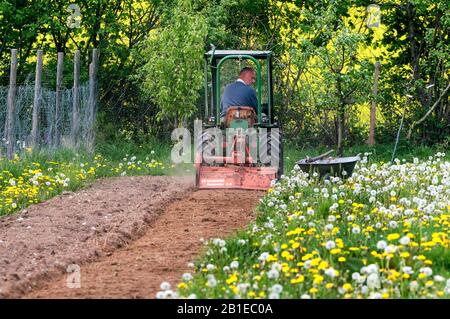 Gärtner am Traktor, Deutschland, Schleswig-Holstein Stockfoto