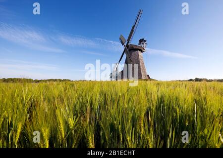 Windmühle Bierde, Deutschland, Nordrhein-Westfalen, Ostwestfalen, Petershagen Stockfoto